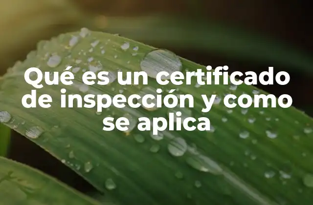 Qué es un Certificado de Inspección y como Se Aplica