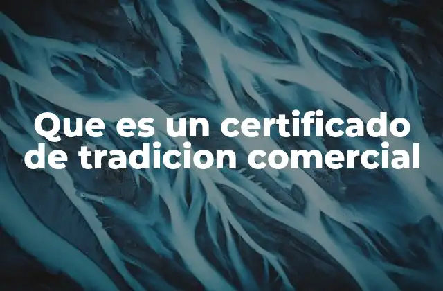 Que es un Certificado de Tradicion Comercial 2 La importancia de demostrar la titularidad en el derecho mercantil