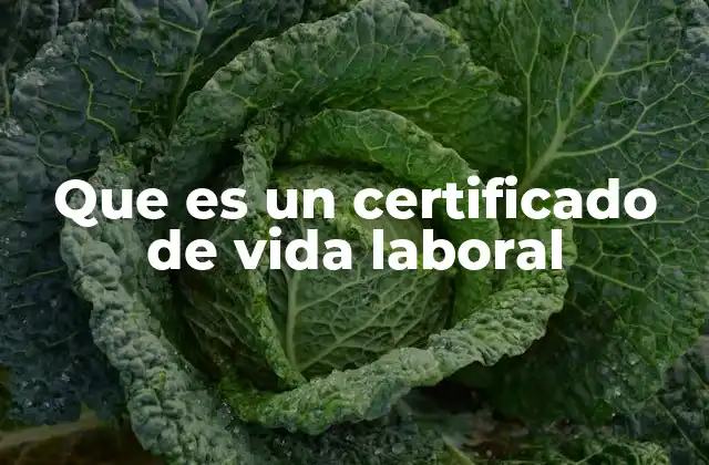 Que es un Certificado de Vida Laboral