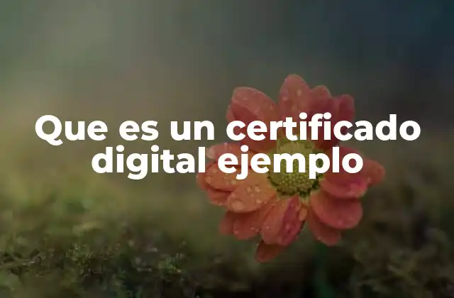 Que es un Certificado Digital Ejemplo