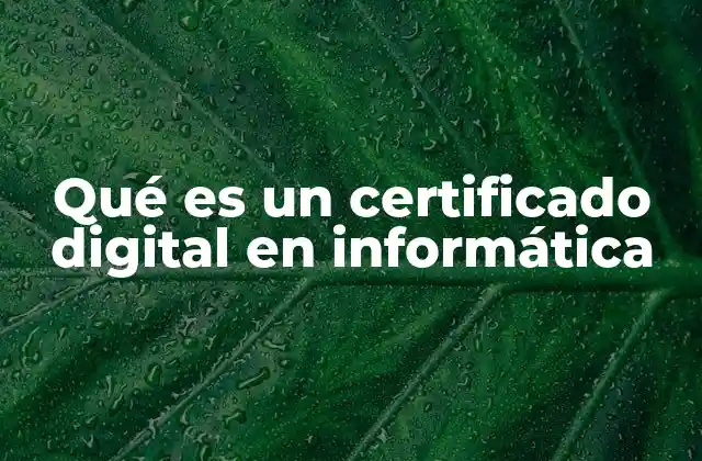 Qué es un Certificado Digital en Informática