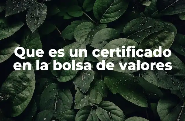 Que es un Certificado en la Bolsa de Valores