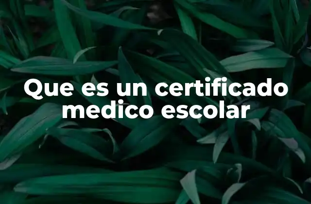 Importancia del certificado médico en el sistema educativo