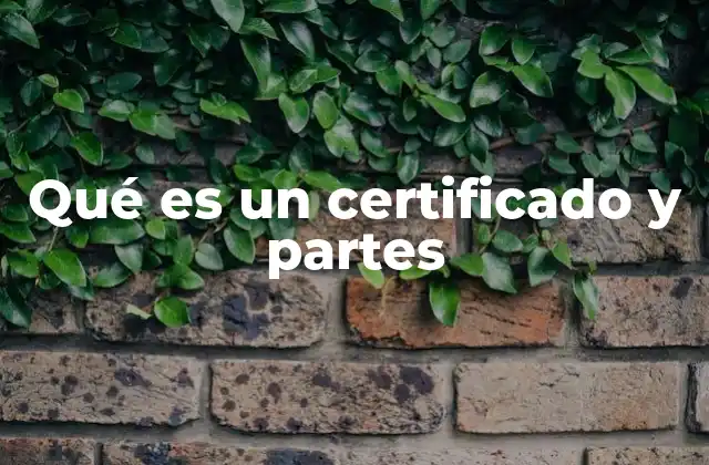 Qué es un Certificado y Partes