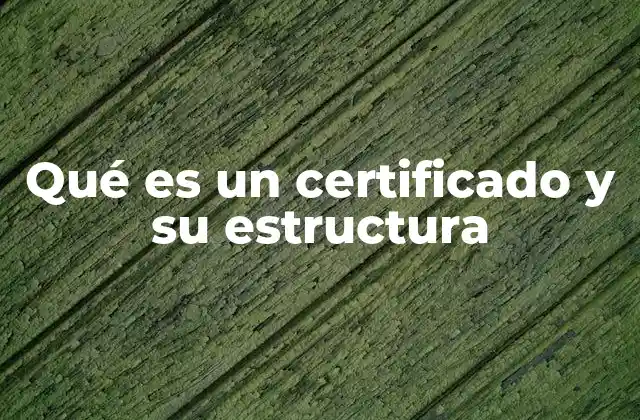 Qué es un Certificado y Su Estructura
