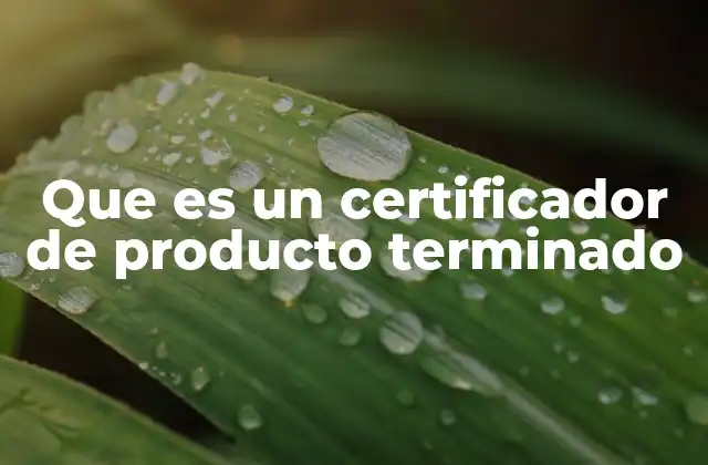 El rol del certificador en la cadena de producción
