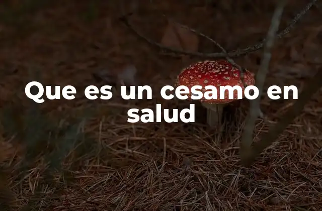 Que es un Cesamo en Salud
