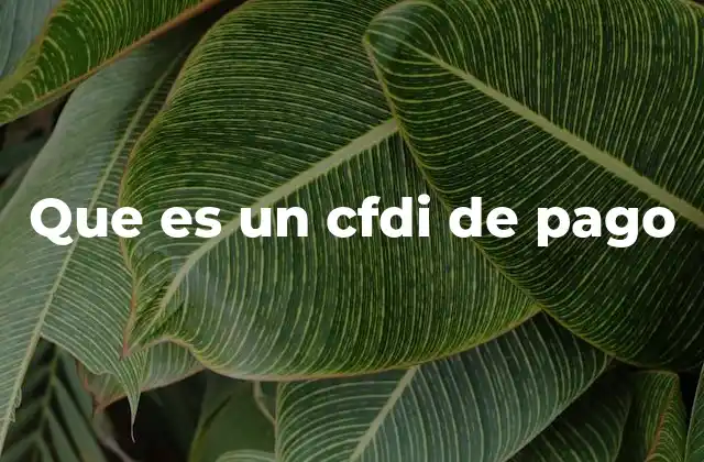 La importancia de los comprobantes electrónicos en las finanzas