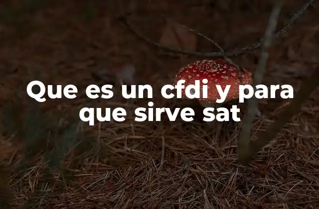 Que es un Cfdi y para que Sirve Sat