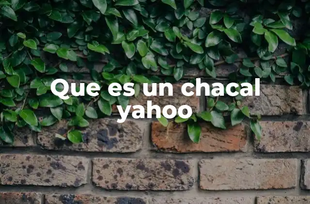 El papel de Yahoo en la cultura digital