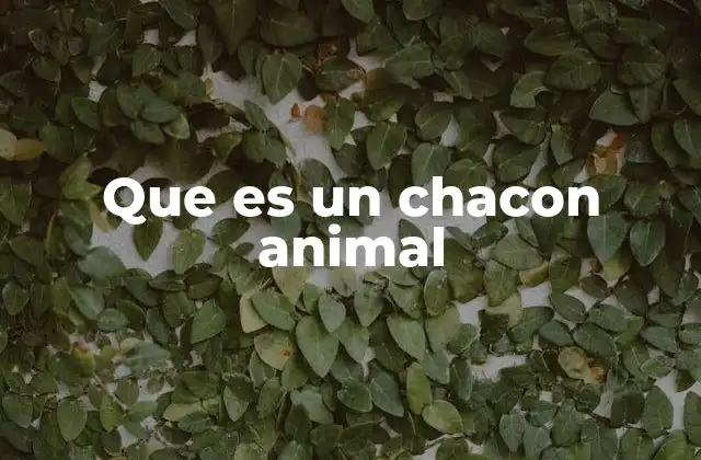 Que es un Chacon Animal
