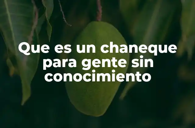 Que es un Chaneque para Gente sin Conocimiento