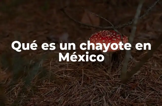 El chayote en la cocina tradicional mexicana
