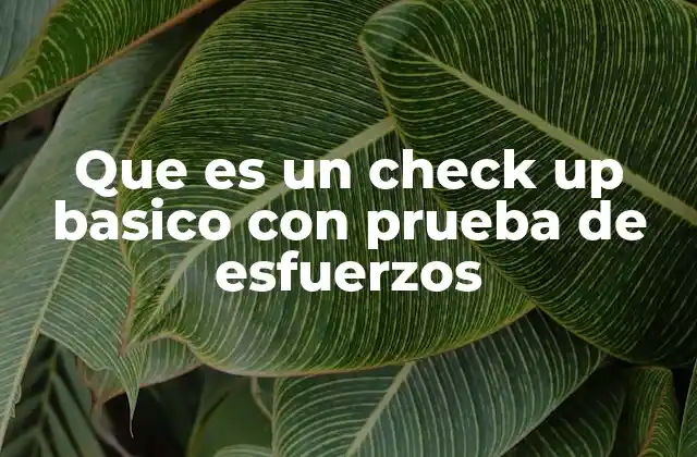 Que es un Check Up Basico con Prueba de Esfuerzos
