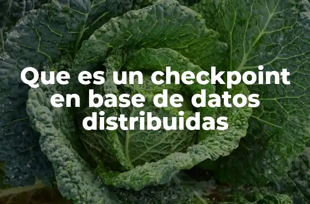 Que es un Checkpoint en Base de Datos Distribuidas