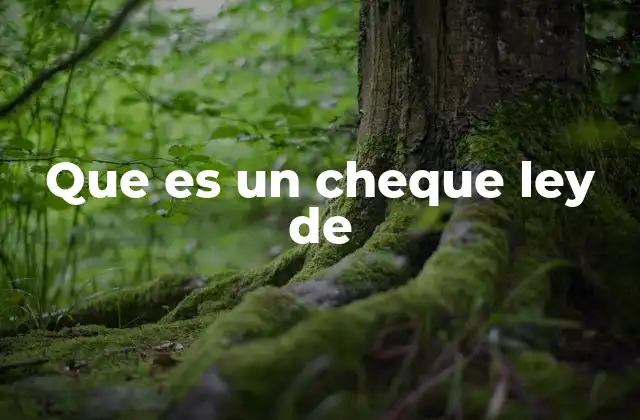 El funcionamiento del cheque en el sistema financiero