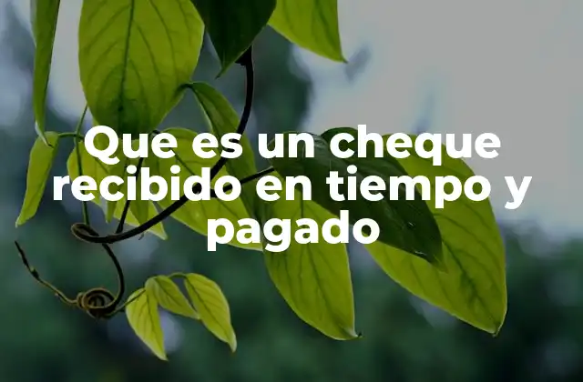 Que es un Cheque Recibido en Tiempo y Pagado