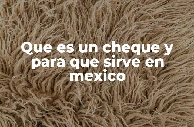 Que es un Cheque y para que Sirve en Mexico