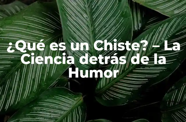 ¿qué es un Chiste? – la Ciencia Detrás de la Humor