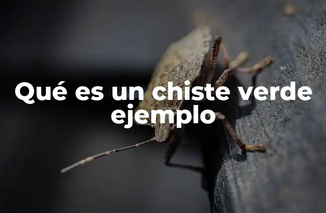 Qué es un Chiste Verde Ejemplo 2 El humor en contextos cotidianos: más allá de lo obvio