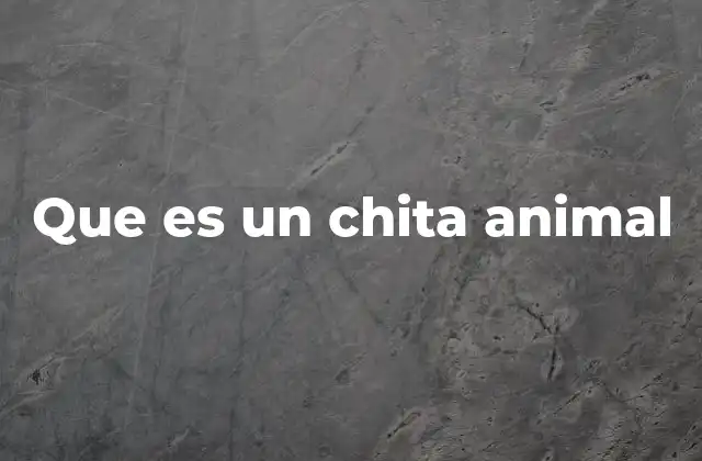 Que es un Chita Animal