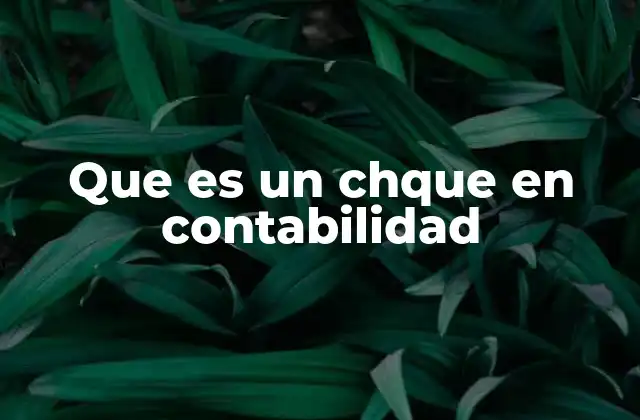 Que es un Chque en Contabilidad