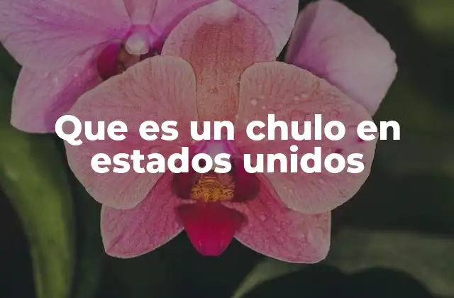 Que es un Chulo en Estados Unidos 2 El fenómeno del chulo en la cultura urbana estadounidense