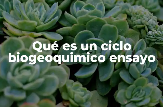Qué es un Ciclo Biogeoquimico Ensayo