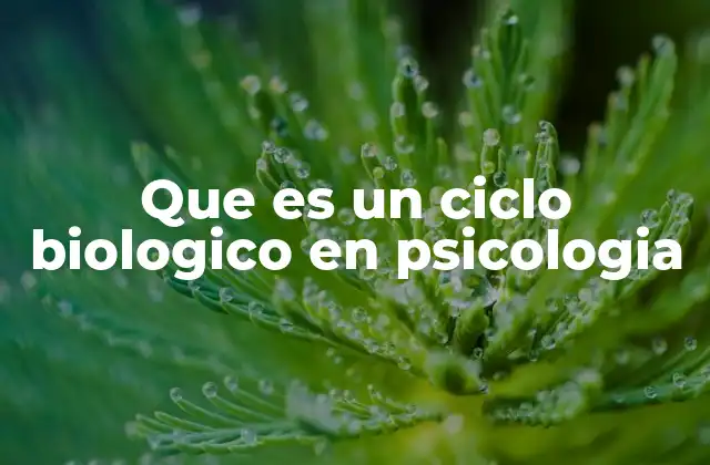 Que es un Ciclo Biologico en Psicologia