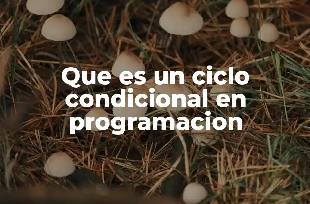 Cómo los ciclos condicionales optimizan la lógica de los programas
