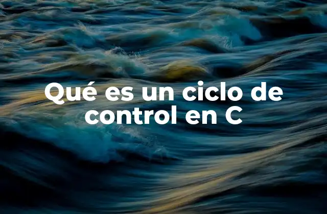 Qué es un Ciclo de Control en C