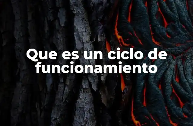 Que es un Ciclo de Funcionamiento