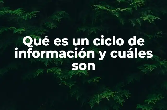 Qué es un Ciclo de Información y Cuáles Son