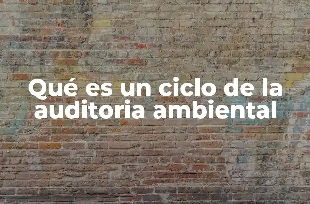 Qué es un Ciclo de la Auditoria Ambiental