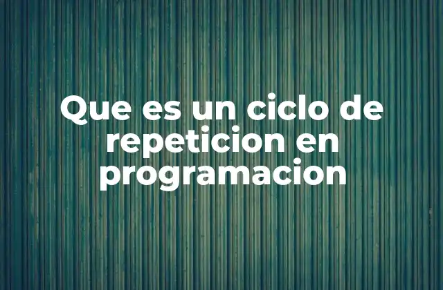 Que es un Ciclo de Repeticion en Programacion