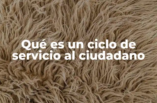 Qué es un Ciclo de Servicio Al Ciudadano