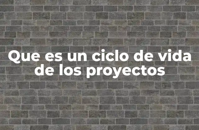 Que es un Ciclo de Vida de los Proyectos