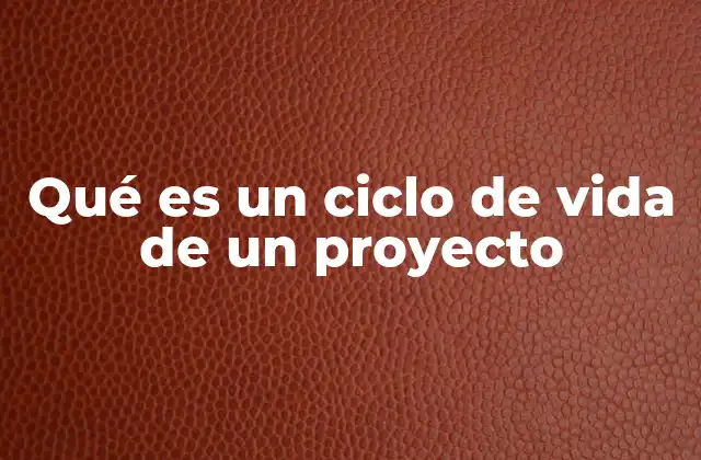 Qué es un Ciclo de Vida de un Proyecto