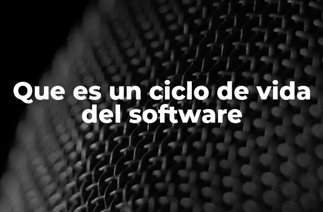 Que es un Ciclo de Vida Del Software