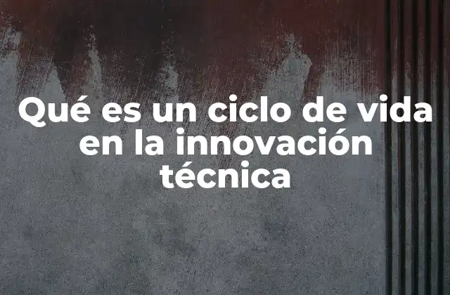 Qué es un Ciclo de Vida en la Innovación Técnica