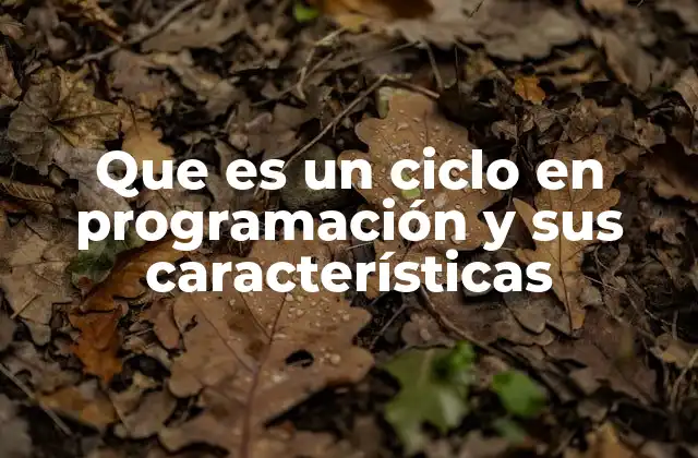 La importancia de los ciclos en la lógica de programación