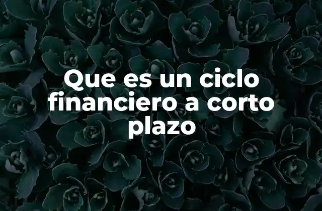 Que es un Ciclo Financiero a Corto Plazo