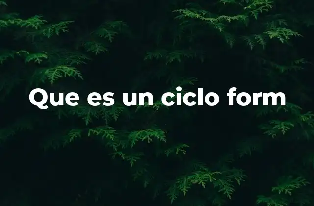 Que es un Ciclo Form
