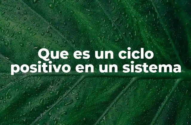 Que es un Ciclo Positivo en un Sistema