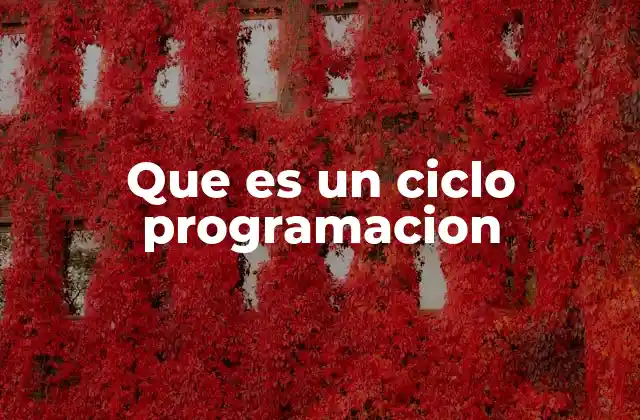 Que es un Ciclo Programacion