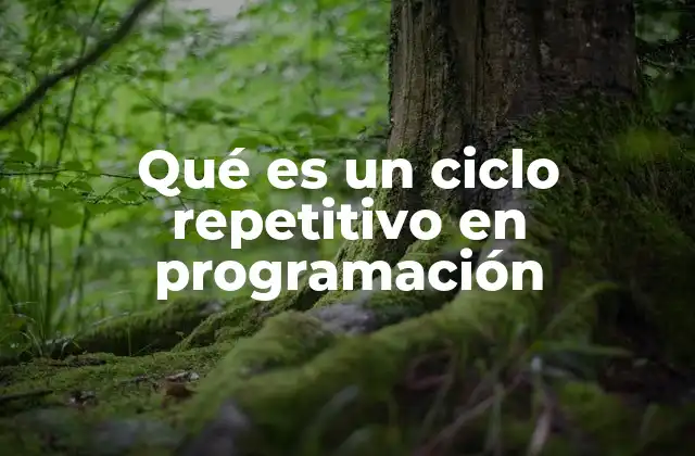 Qué es un Ciclo Repetitivo en Programación