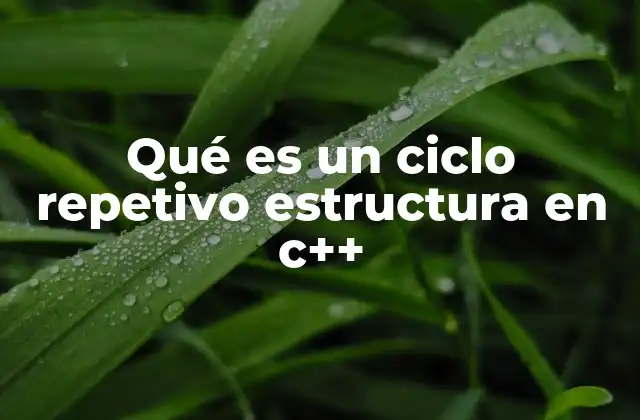 Qué es un Ciclo Repetivo Estructura en C++