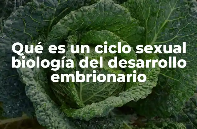 Qué es un Ciclo Sexual Biología Del Desarrollo Embrionario