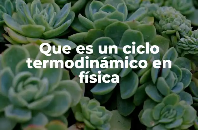 Que es un Ciclo Termodinámico en Física
