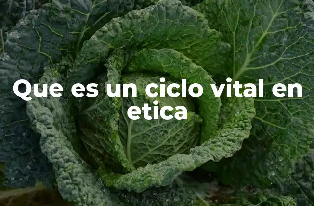 Que es un Ciclo Vital en Etica
